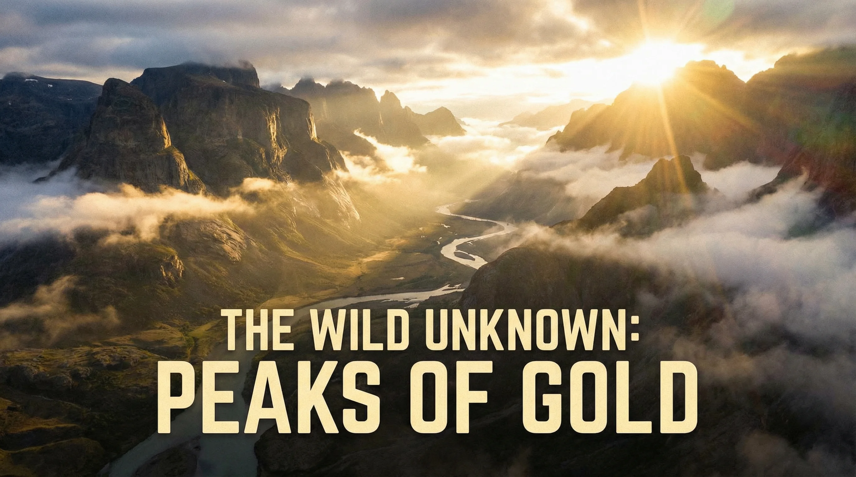 日本三级探花精选内容展示